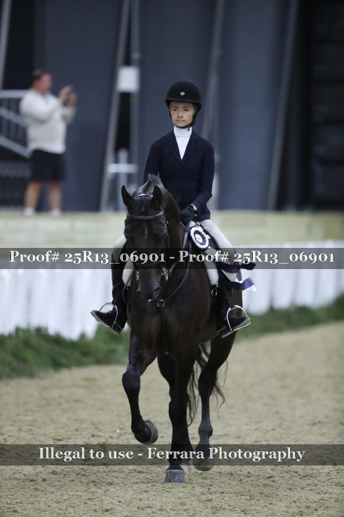 Proof 25R13_06901