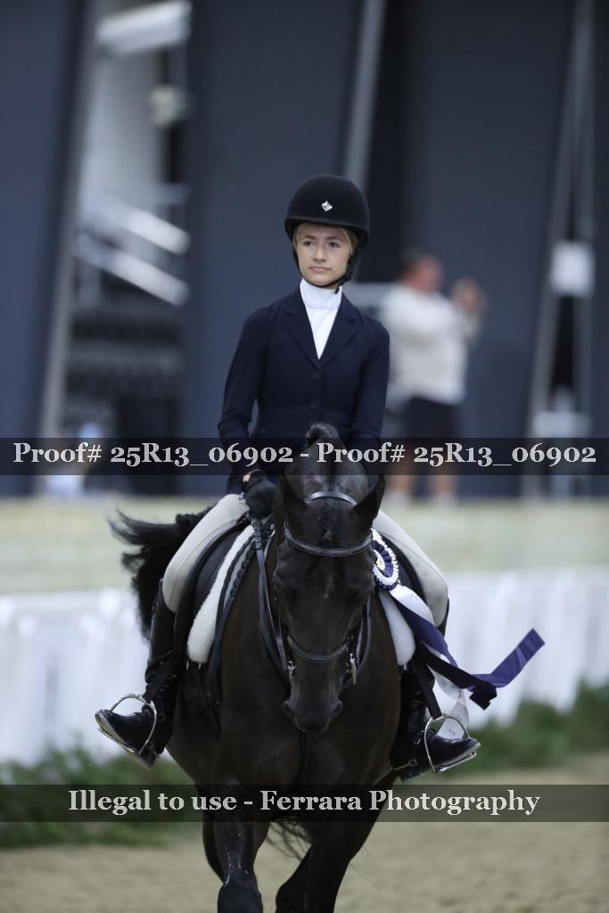 Proof 25R13_06902