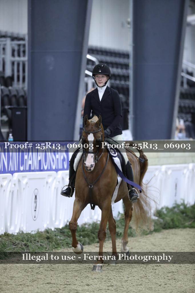 Proof 25R13_06903
