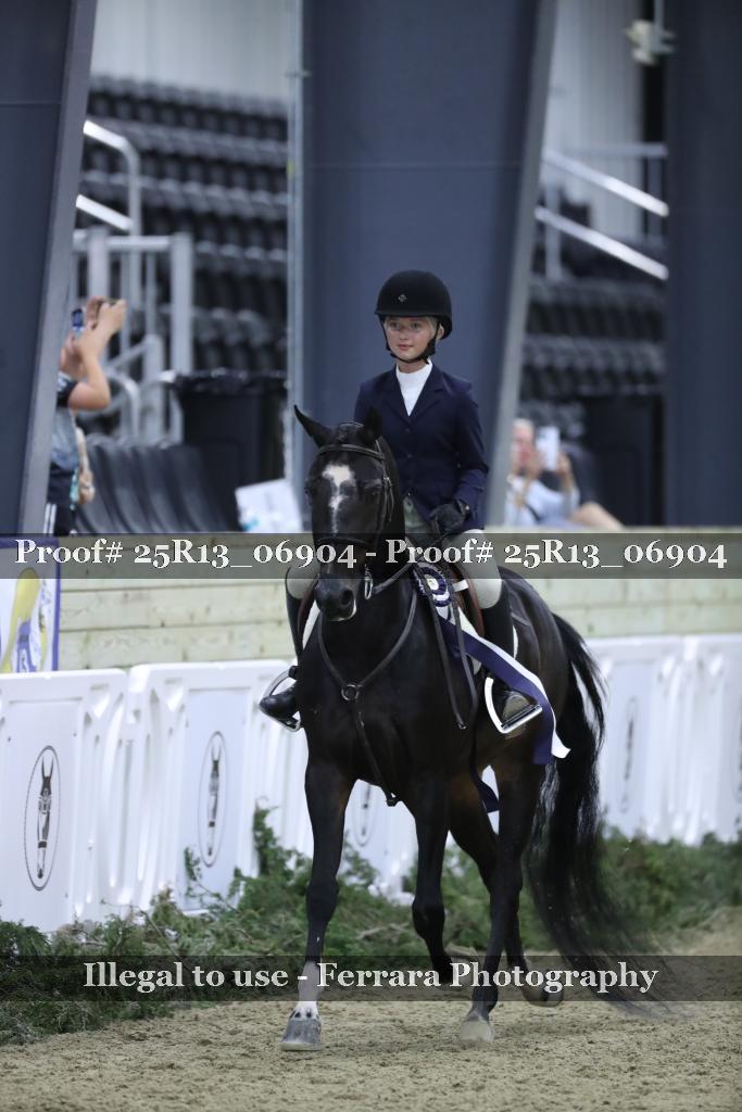 Proof 25R13_06904