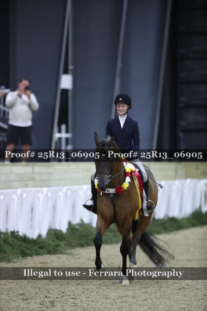 Proof 25R13_06905