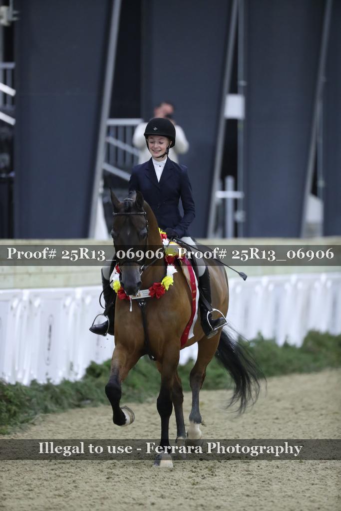Proof 25R13_06906
