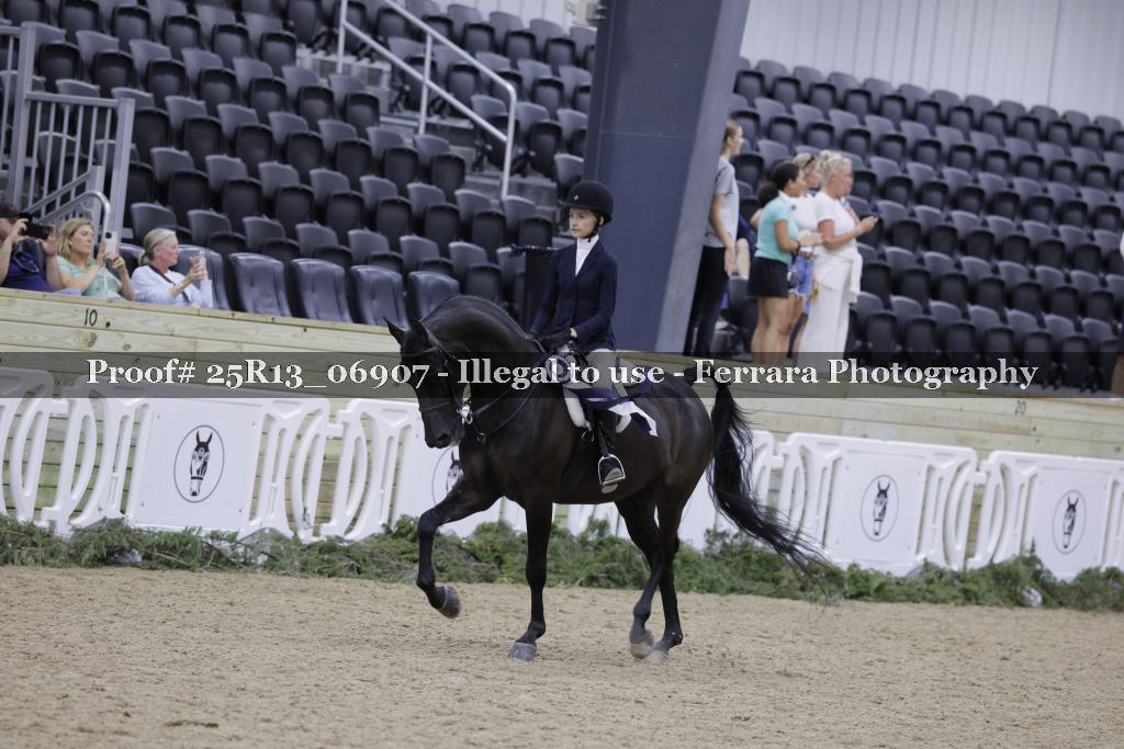 Proof 25R13_06907