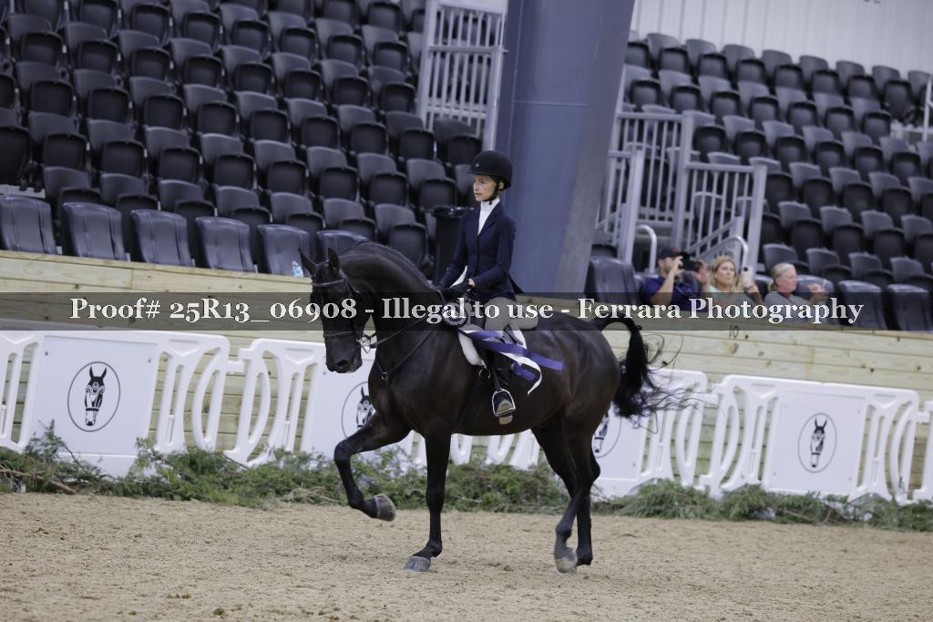 Proof 25R13_06908