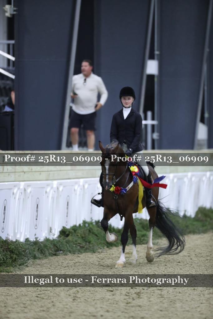 Proof 25R13_06909