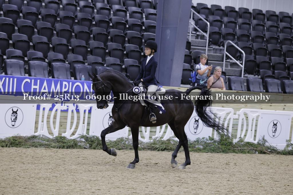 Proof 25R13_06910