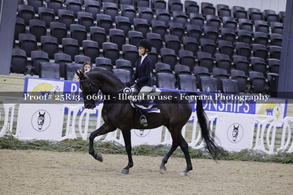 Proof 25R13_06911