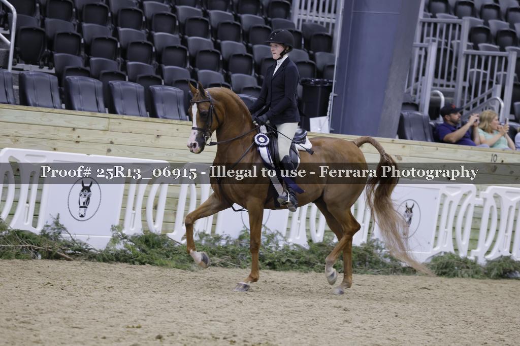 Proof 25R13_06915