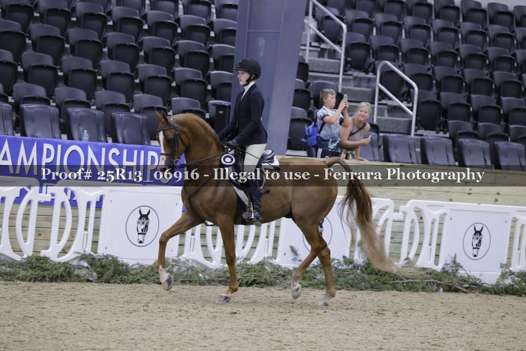 Proof 25R13_06916