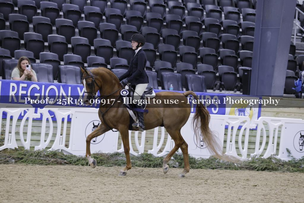 Proof 25R13_06917