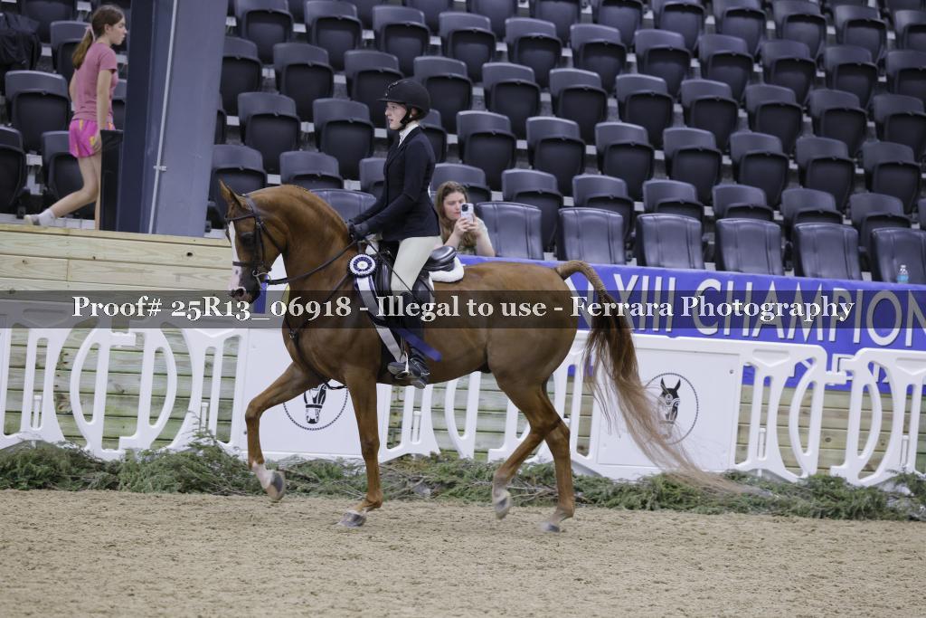 Proof 25R13_06918
