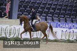 25R13_06918 proof