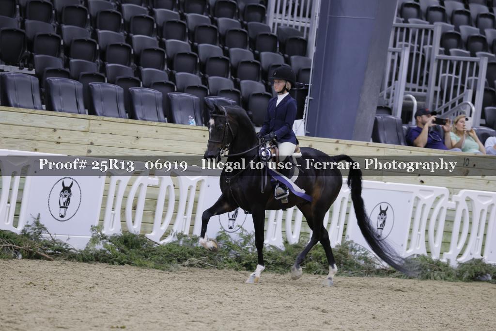 Proof 25R13_06919