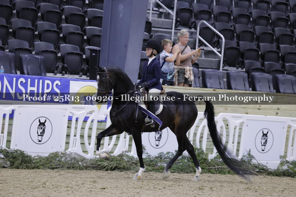 Proof 25R13_06920