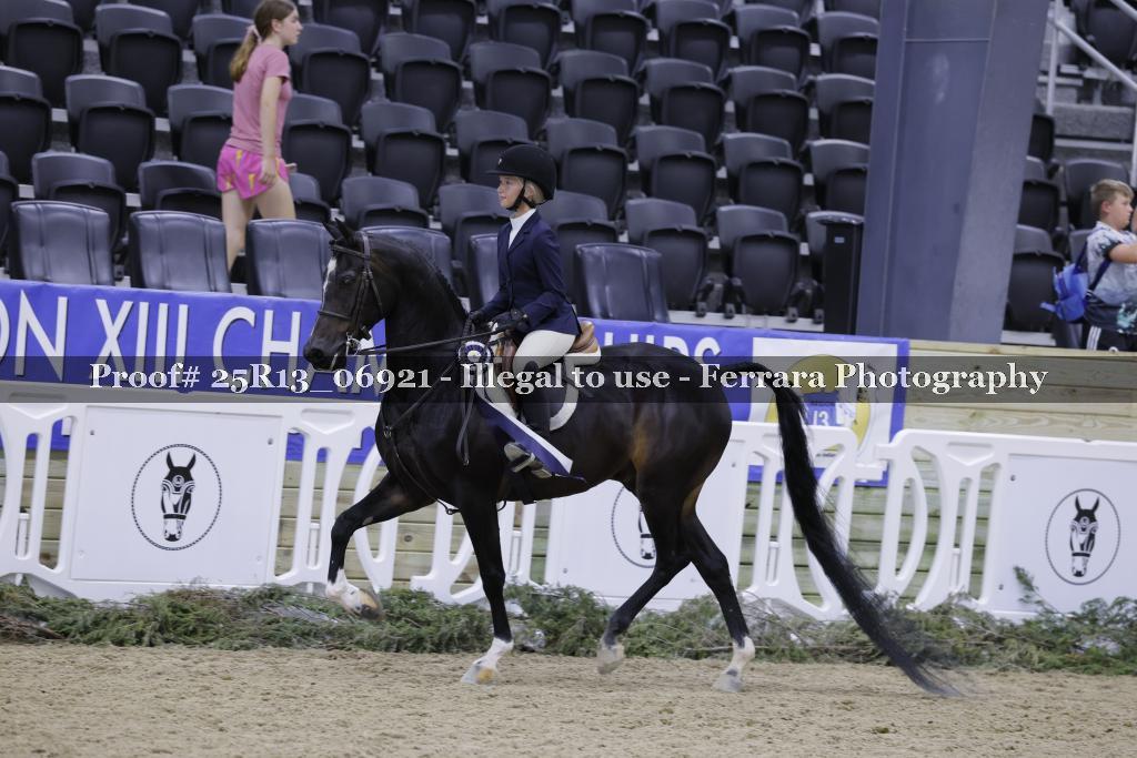 Proof 25R13_06921