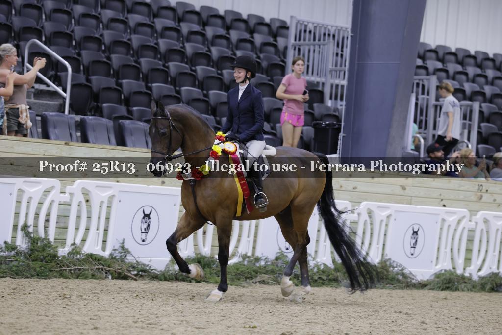 Proof 25R13_06923