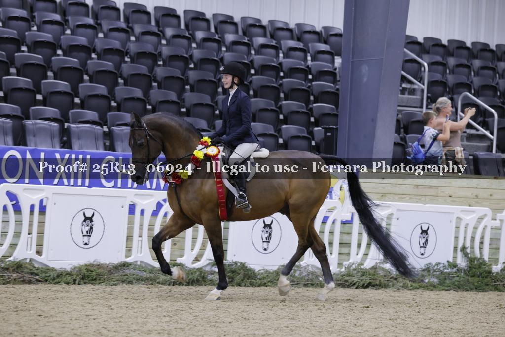 Proof 25R13_06924