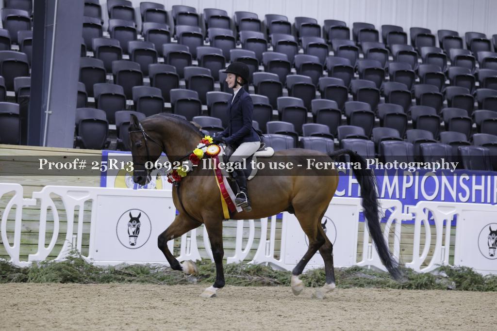 Proof 25R13_06925