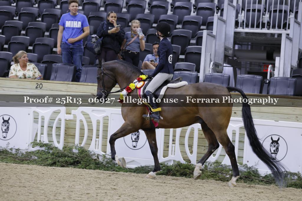 Proof 25R13_06927