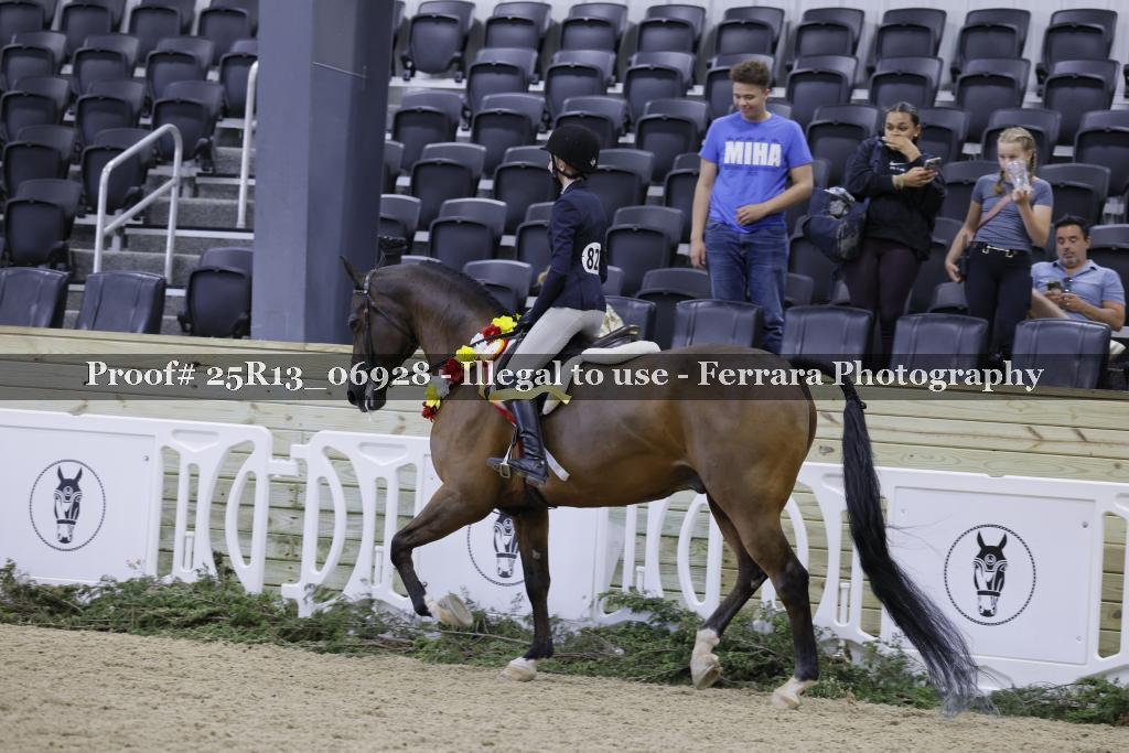 Proof 25R13_06928