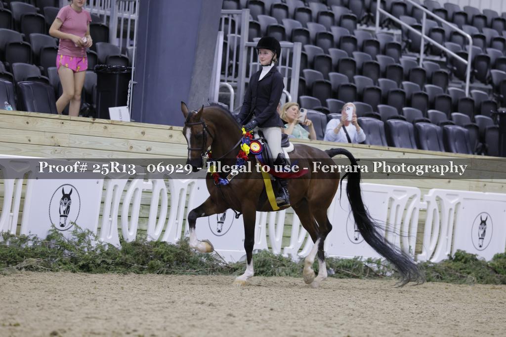 Proof 25R13_06929
