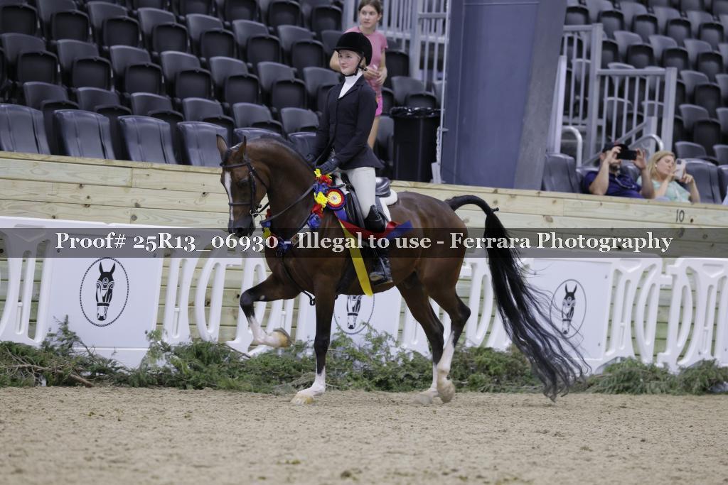 Proof 25R13_06930