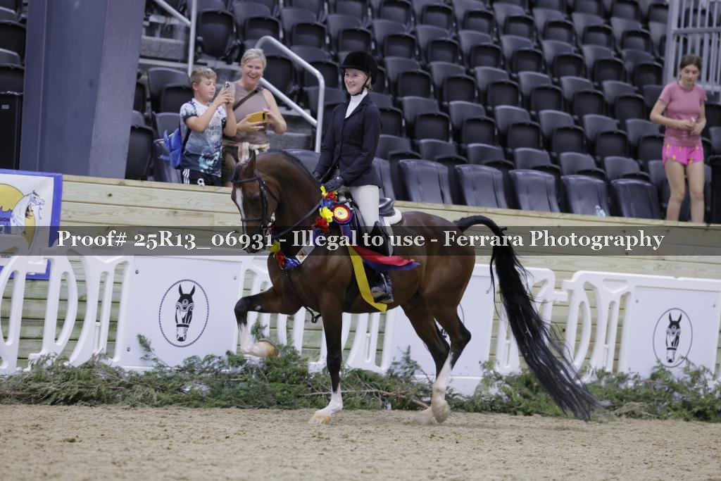 Proof 25R13_06931