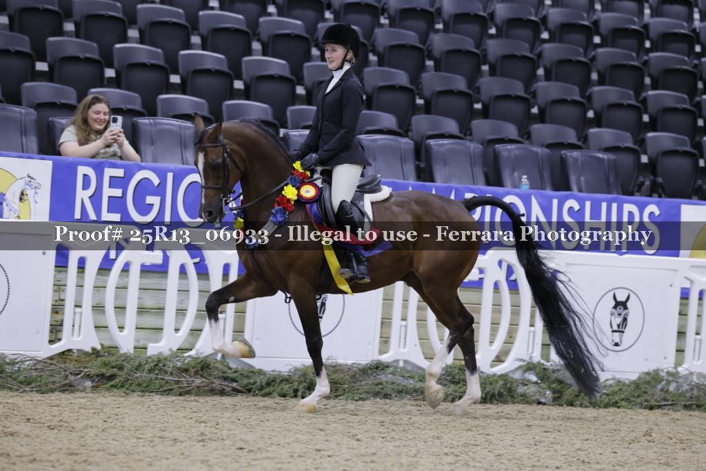 Proof 25R13_06933