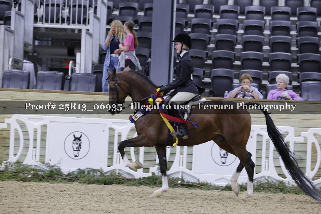 Proof 25R13_06935