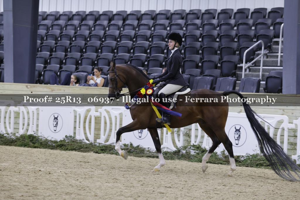 Proof 25R13_06937