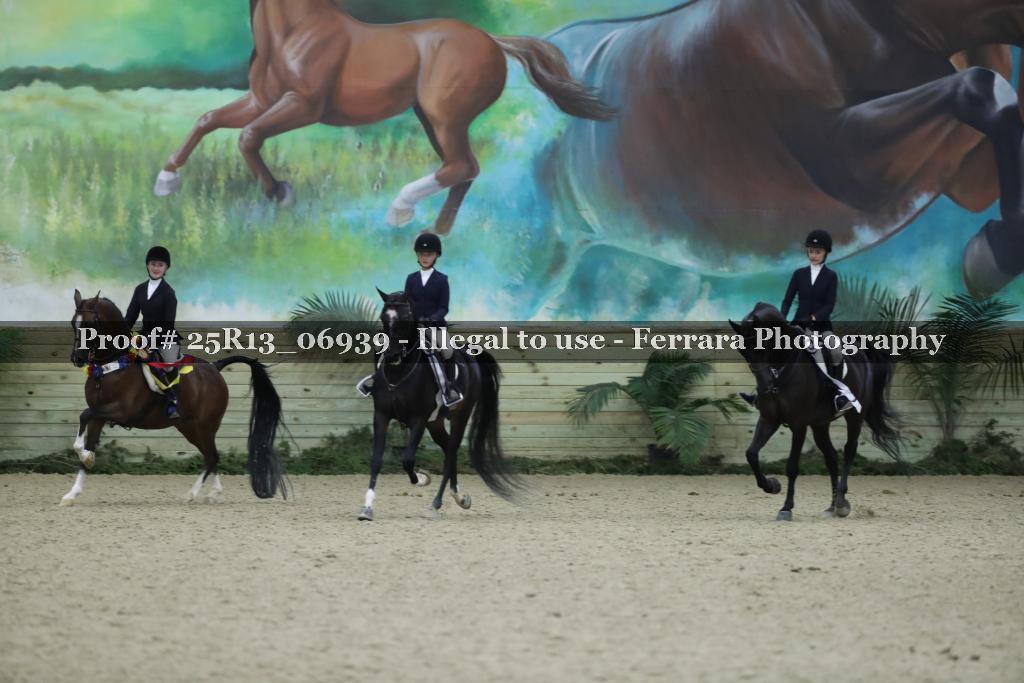 Proof 25R13_06939
