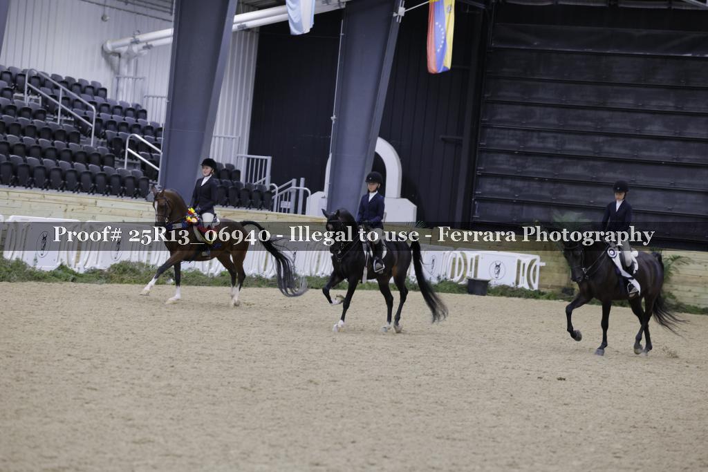 Proof 25R13_06940