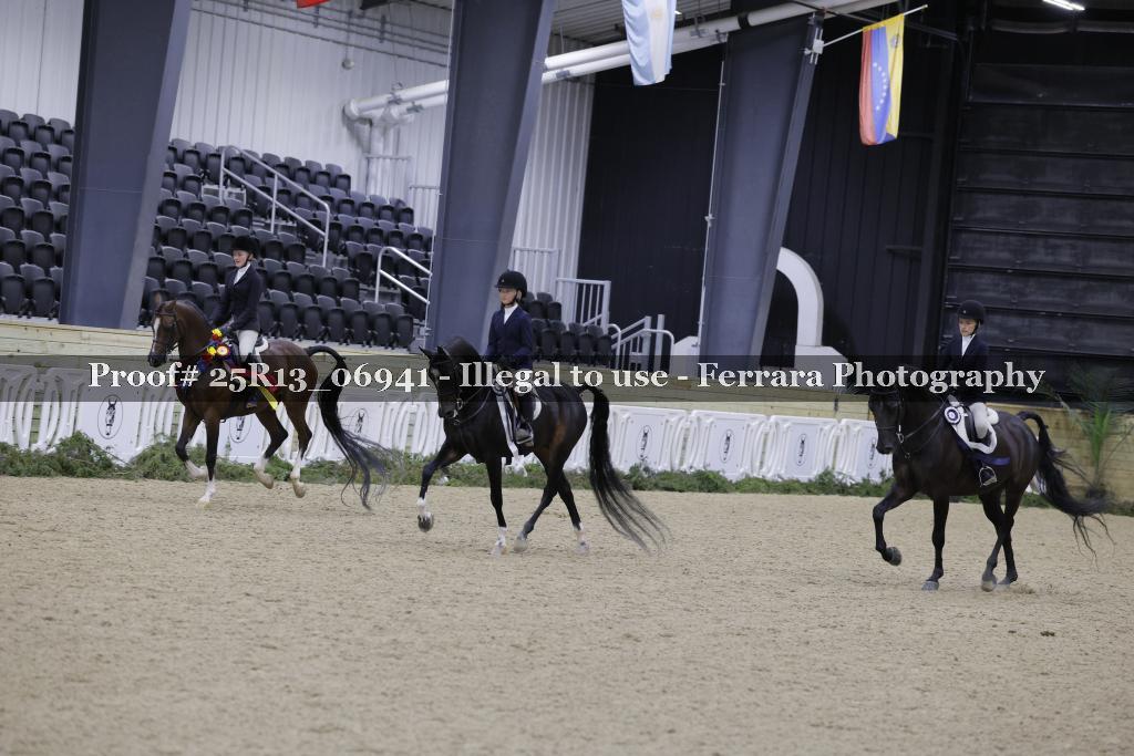 Proof 25R13_06941