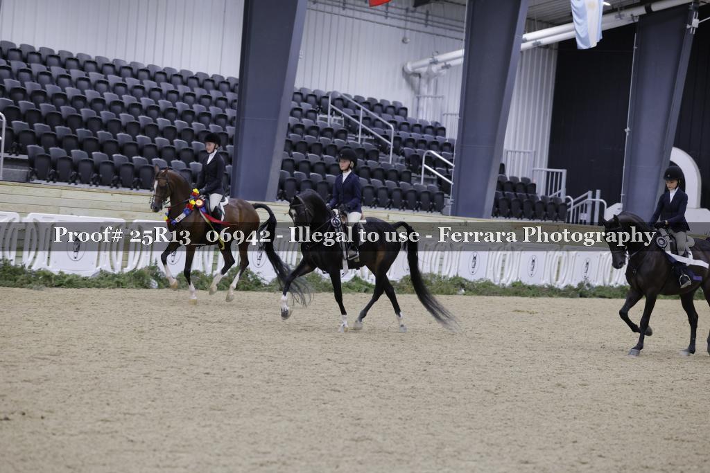 Proof 25R13_06942
