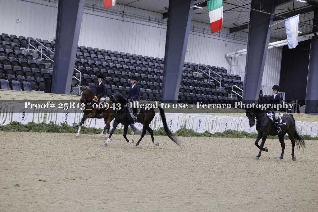 Proof 25R13_06943