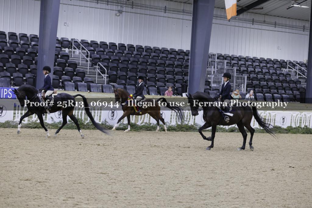 Proof 25R13_06944