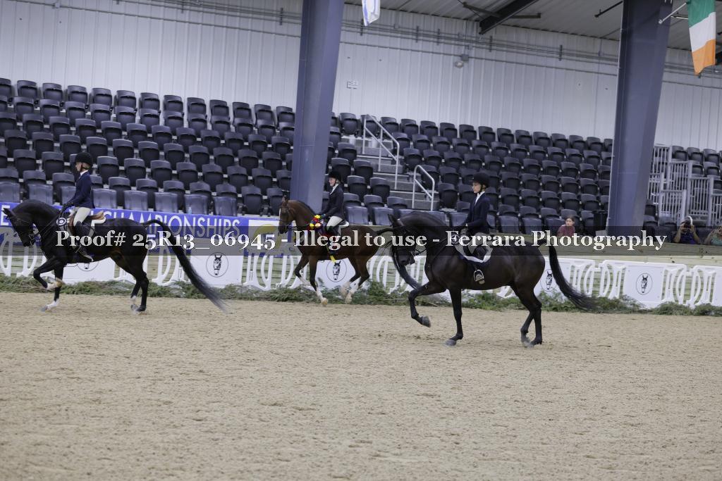 Proof 25R13_06945