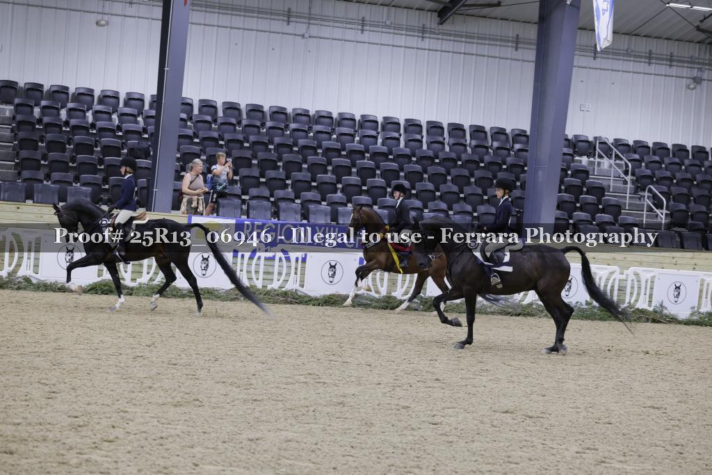 Proof 25R13_06946