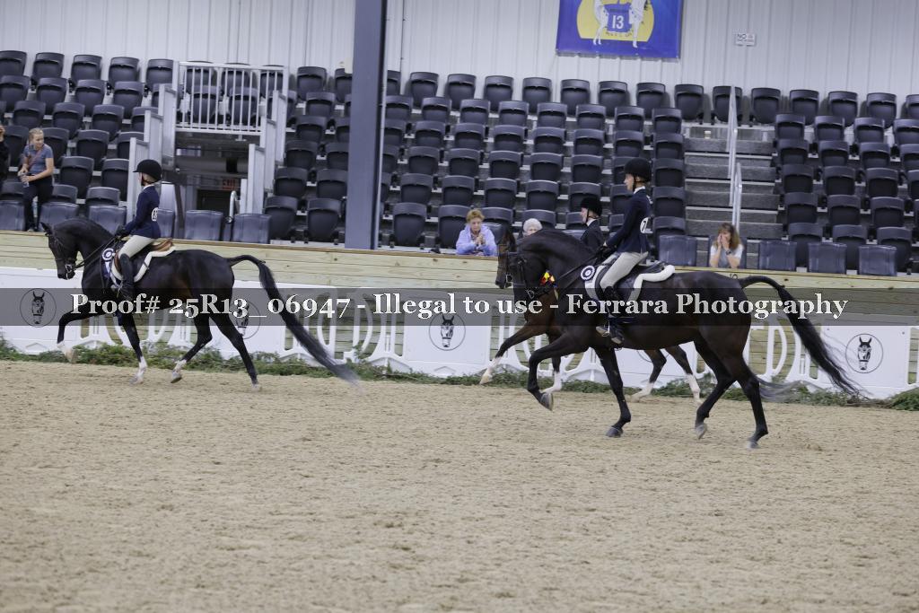 Proof 25R13_06947