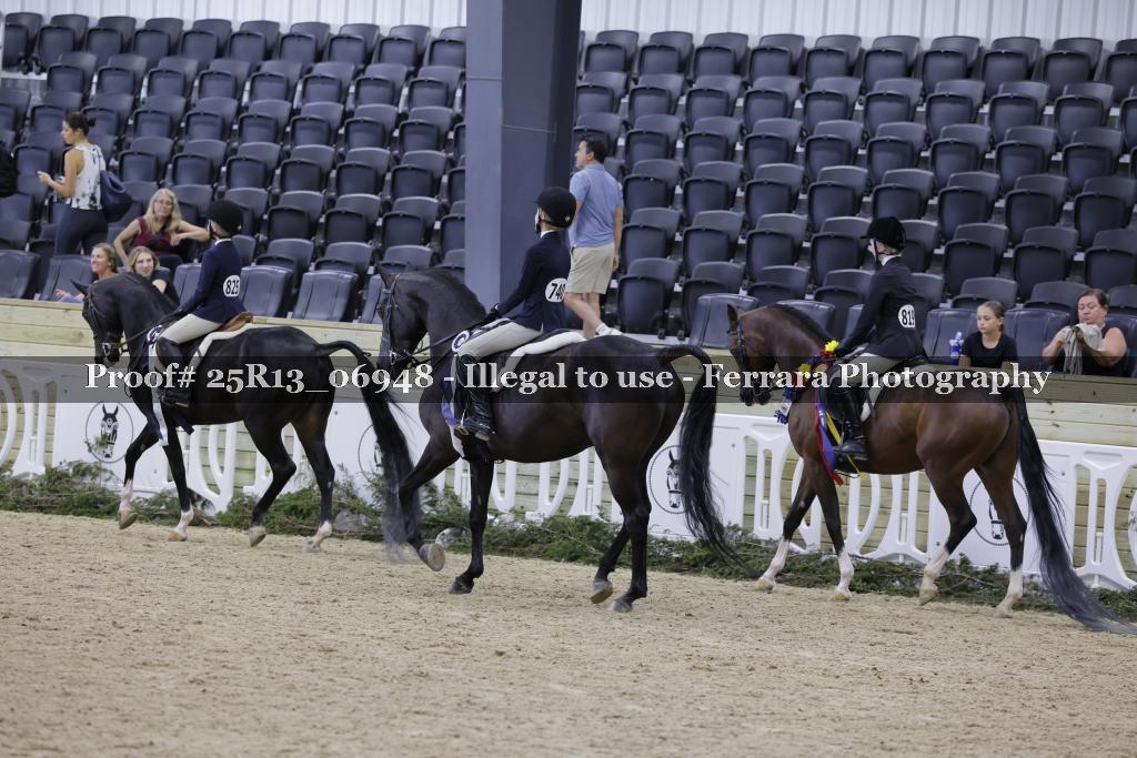 Proof 25R13_06948