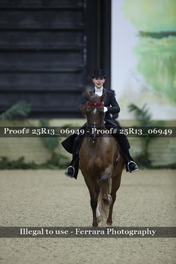 Proof 25R13_06949