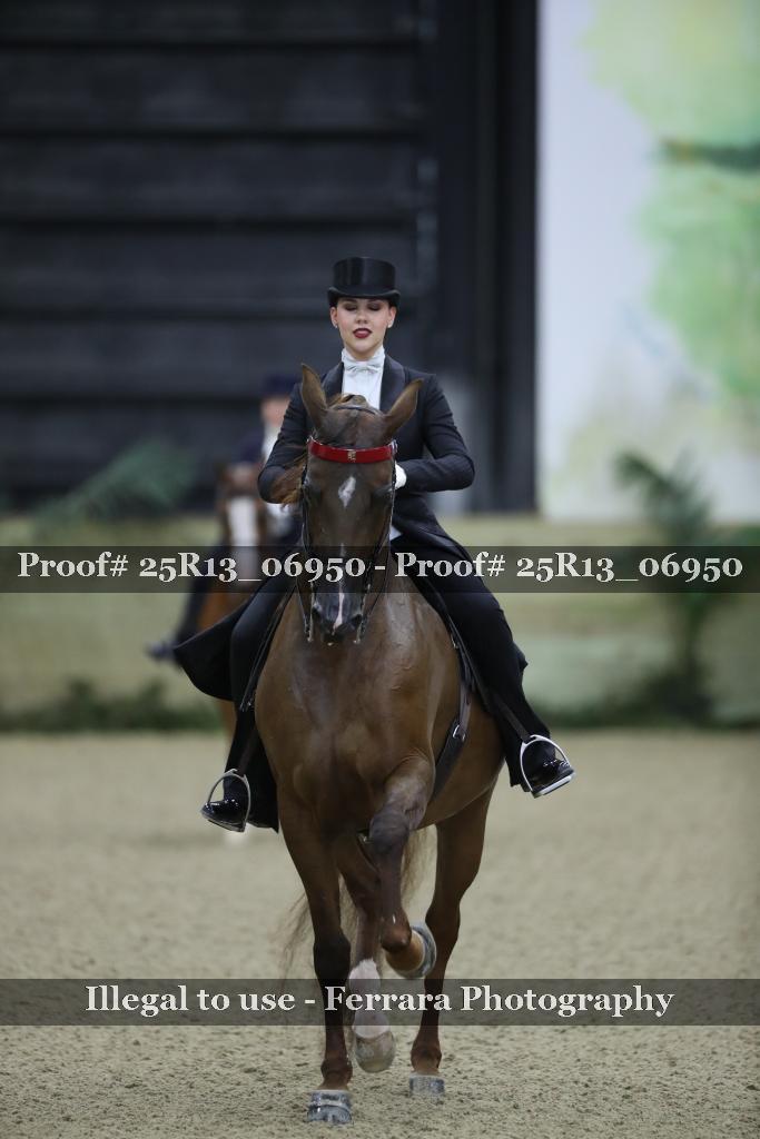 Proof 25R13_06950
