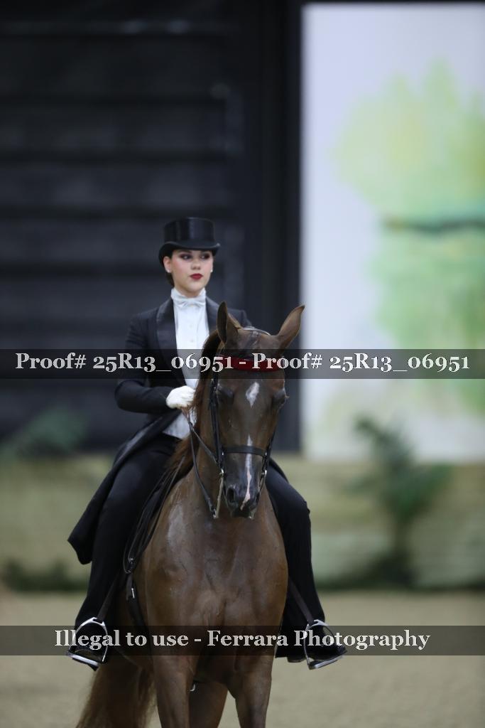 Proof 25R13_06951