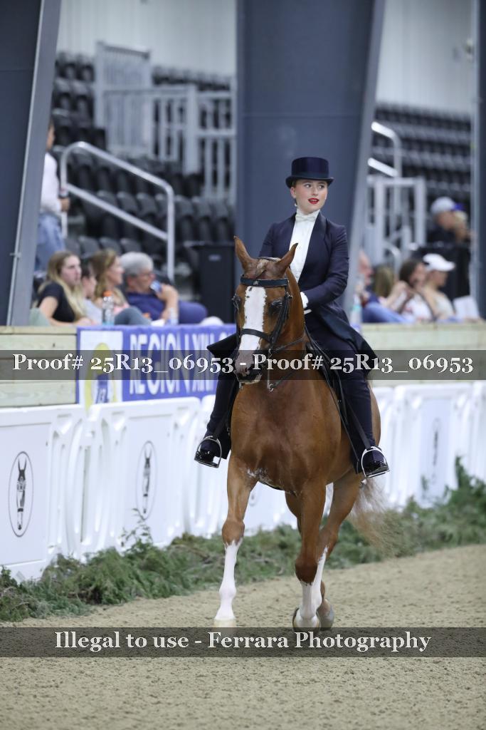 Proof 25R13_06953