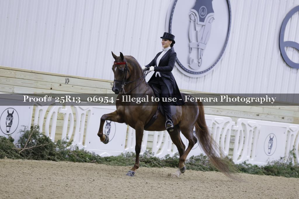 Proof 25R13_06954