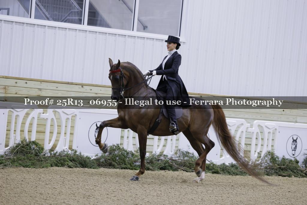 Proof 25R13_06955