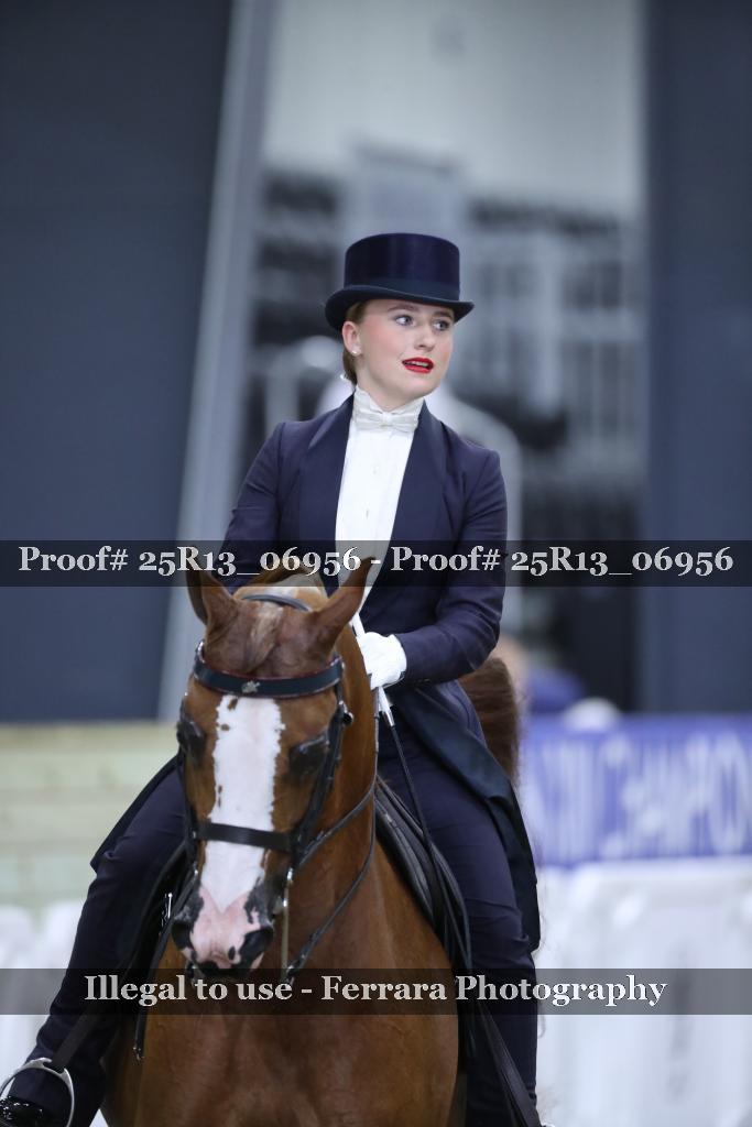 Proof 25R13_06956