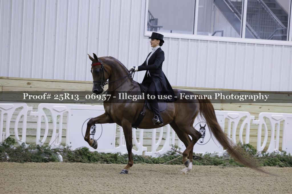 Proof 25R13_06957