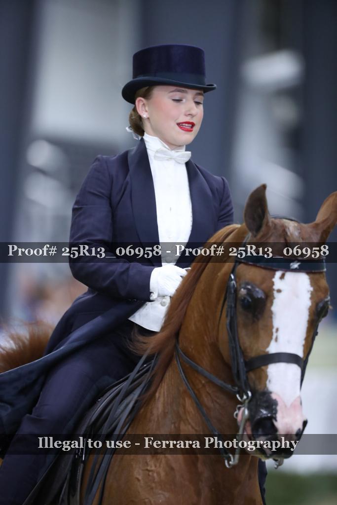 Proof 25R13_06958
