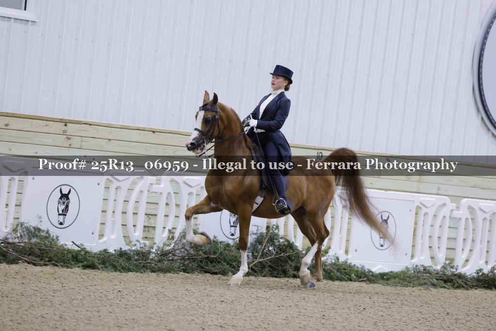 Proof 25R13_06959